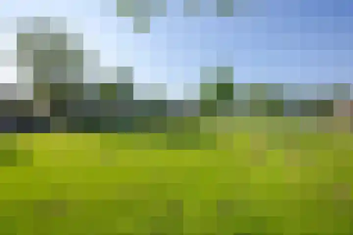 Richard Wagnerlaan 31 Voorschoten thumbnail 41