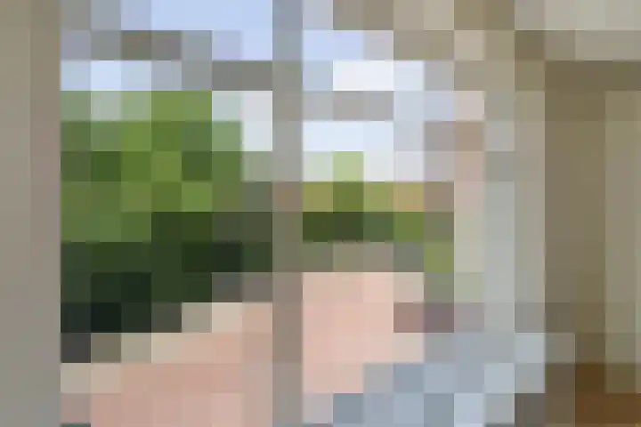 Richard Wagnerlaan 44 Den Haag thumbnail 13