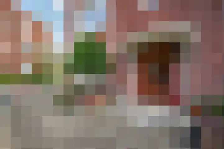 Richard Wagnerlaan 44 Den Haag thumbnail 6