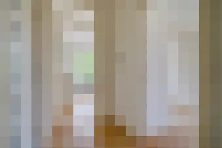 Richard Wagnerlaan 44 Den Haag thumbnail 8