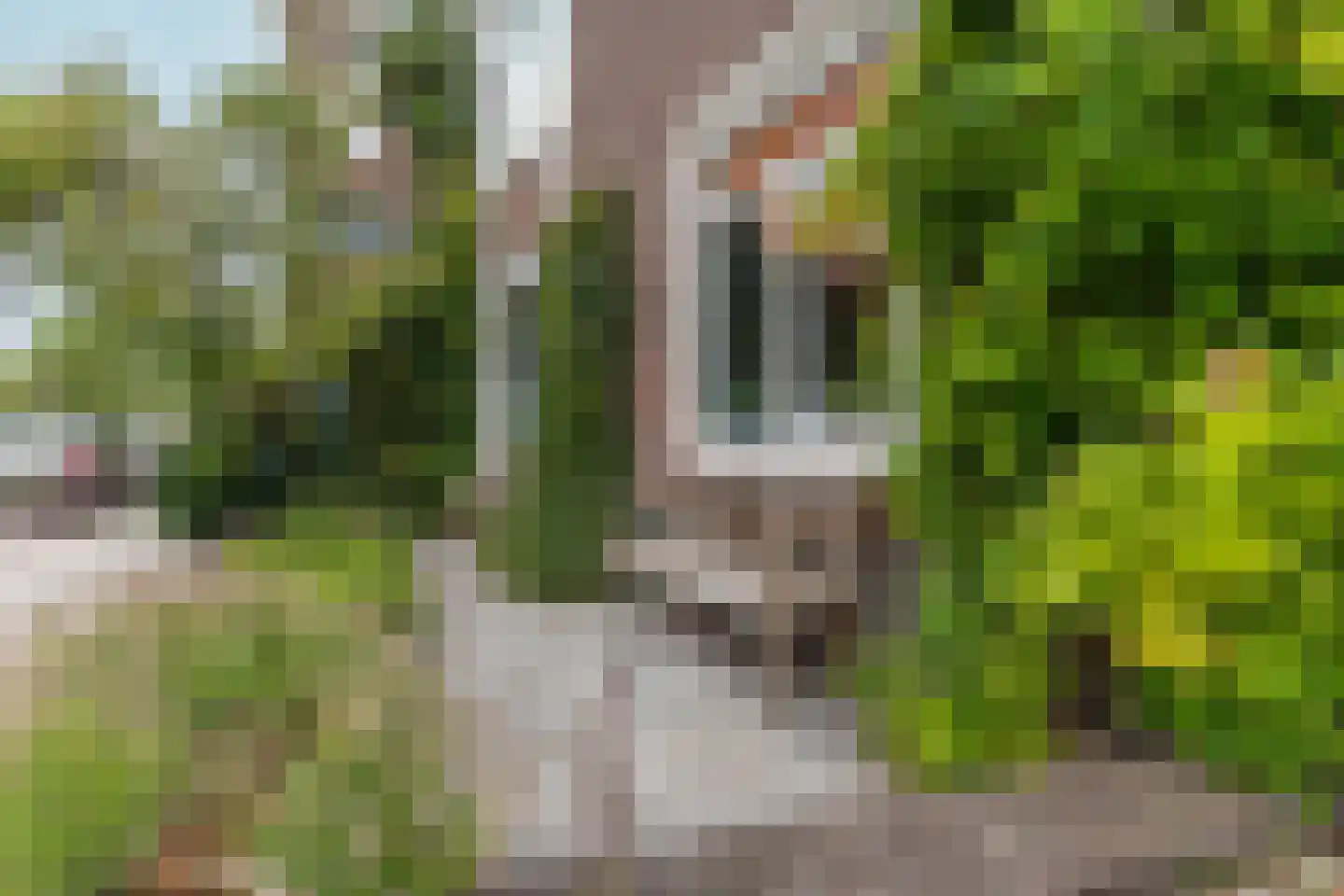 Richard Wagnerlaan 6 Den Haag thumbnail 7