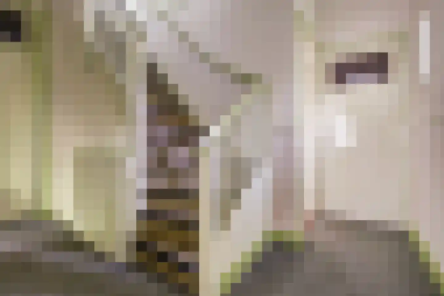 Richard Wagnerlaan 8 Utrecht thumbnail 13