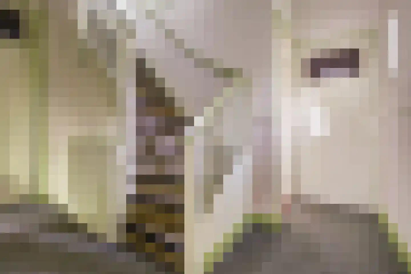 Richard Wagnerlaan 8 Utrecht thumbnail 15