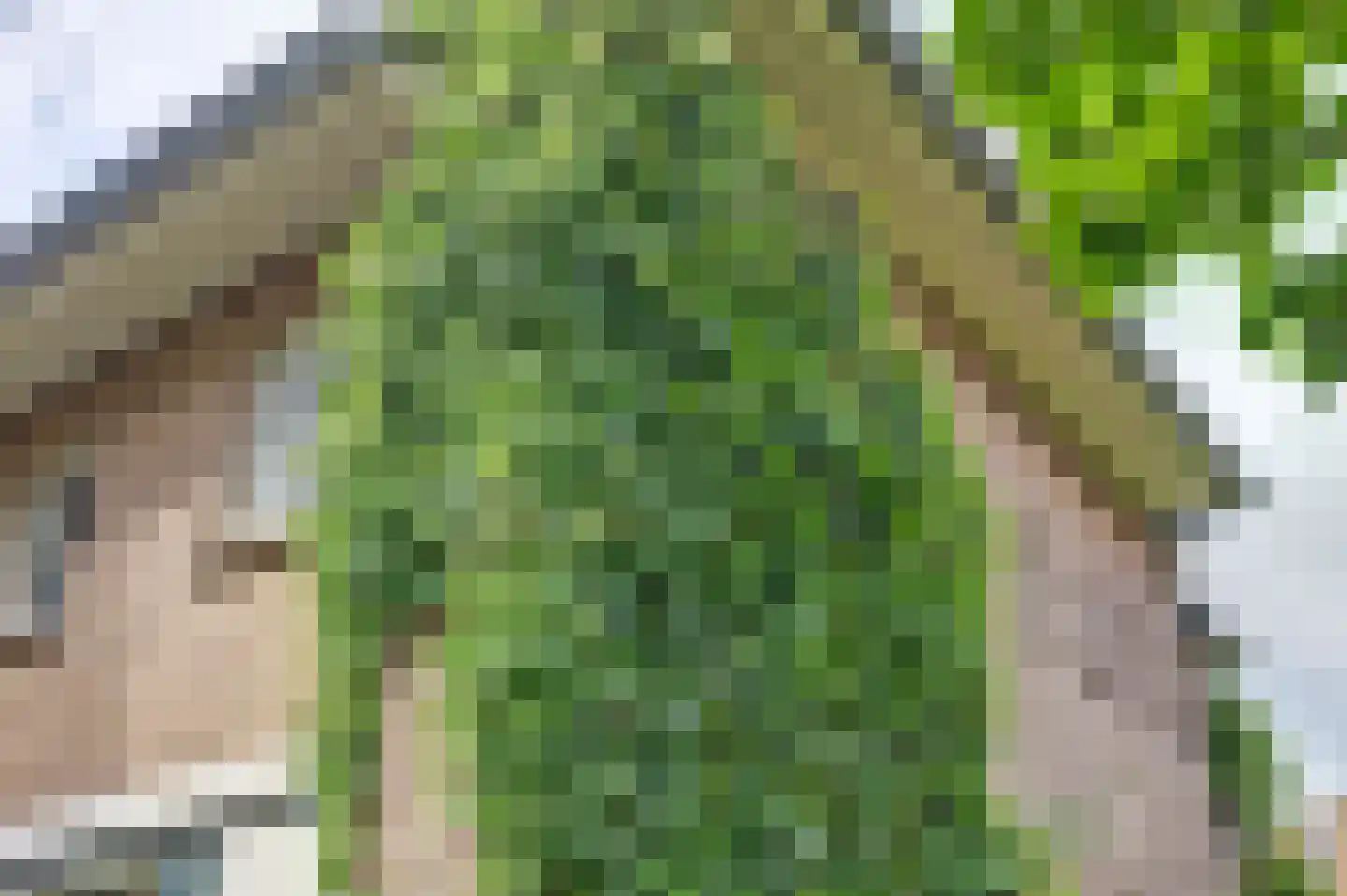 Richard Wagnerlaan 8 Utrecht thumbnail 4