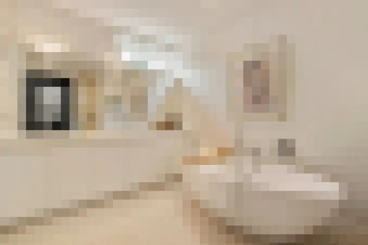Richard Wagnerstraat 30 Amsterdam thumbnail 37