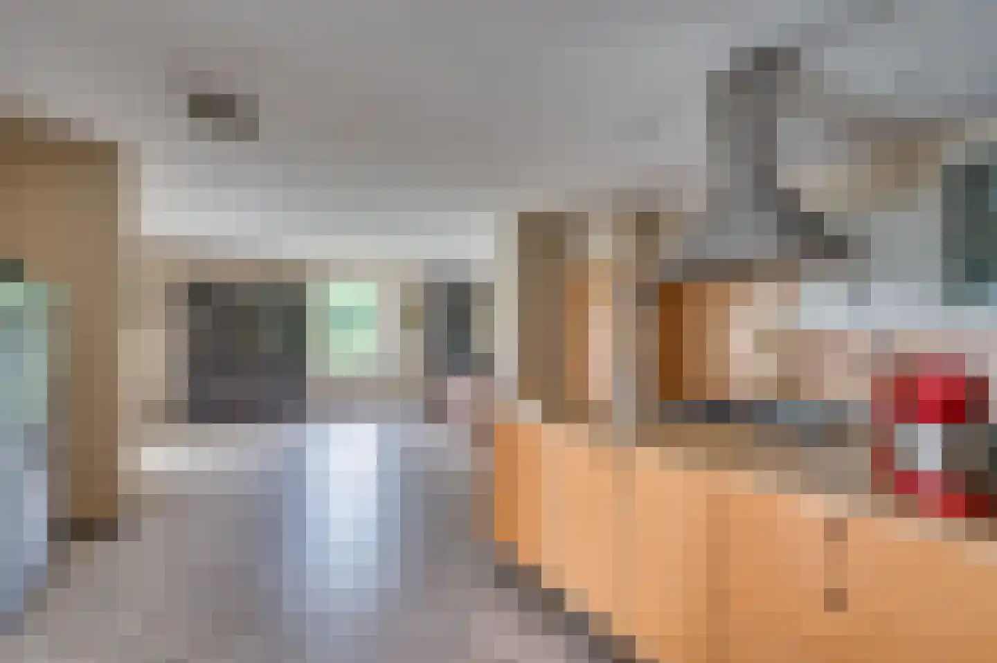 Richardsweg 40 Venlo thumbnail 11