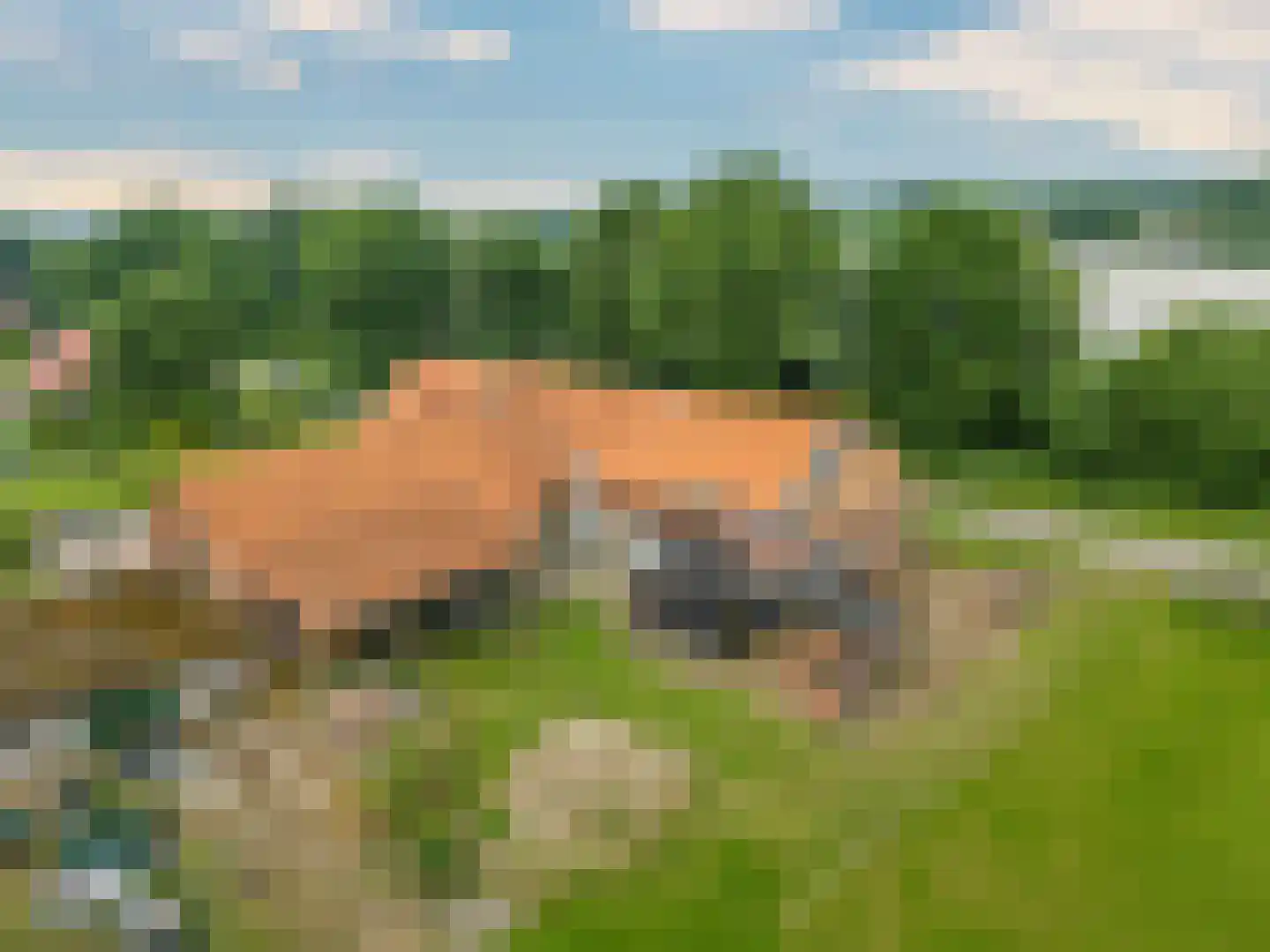 Richardsweg 40 Venlo thumbnail 32