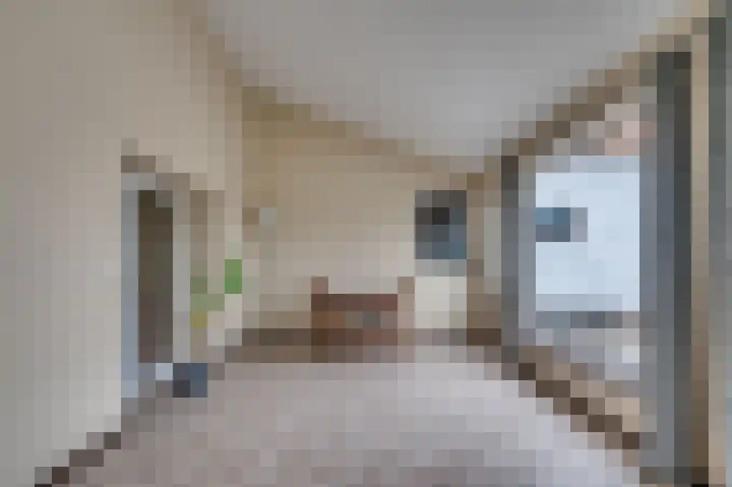 Richardsweg 40 Venlo thumbnail 33