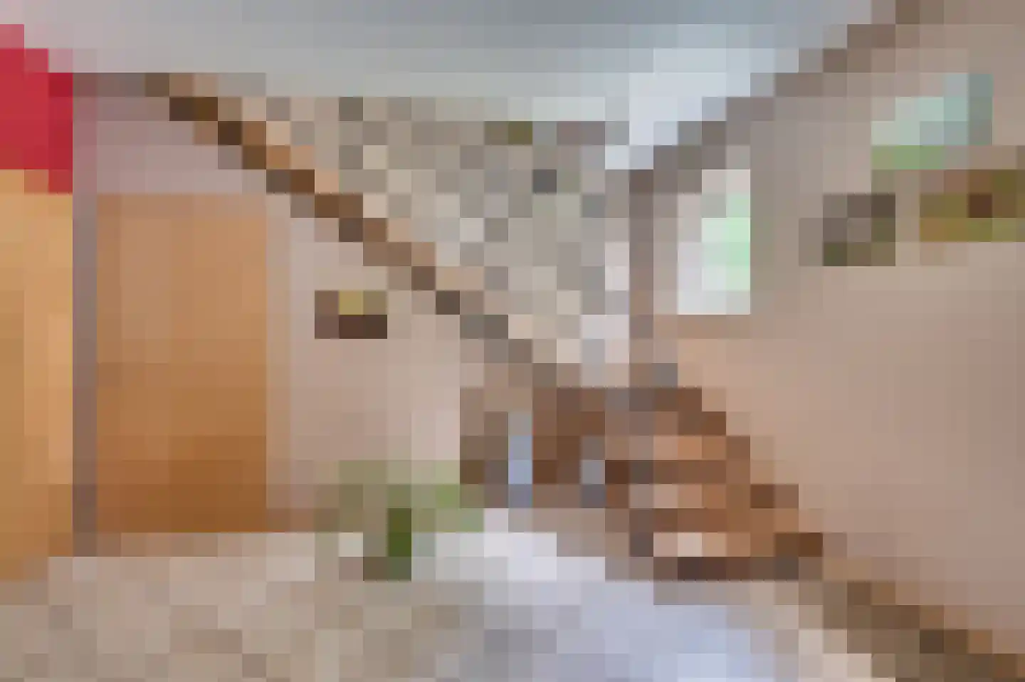 Richardsweg 40 Venlo thumbnail 6