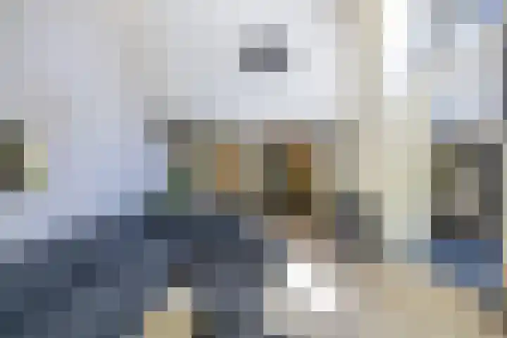 Richel 2 Emmeloord thumbnail 12