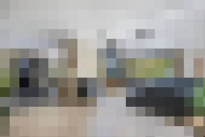 Richel 2 Emmeloord thumbnail 14