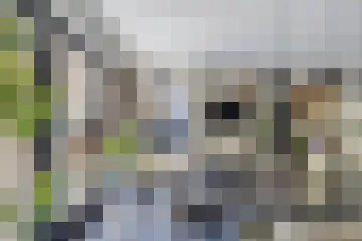Richel 2 Emmeloord thumbnail 15
