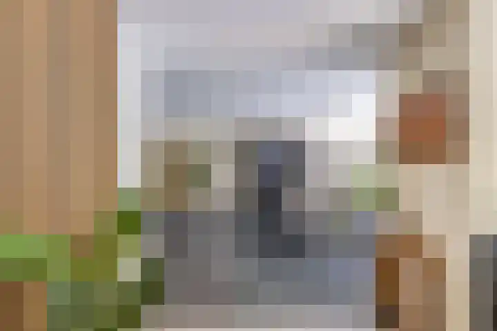 Richel 2 Emmeloord thumbnail 16