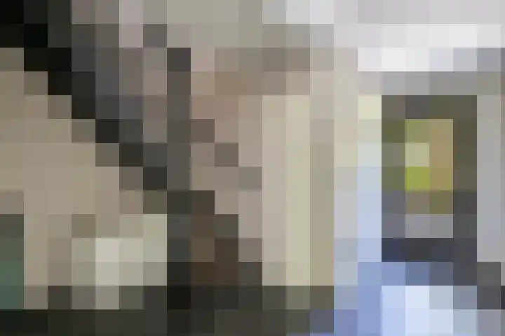 Richel 2 Emmeloord thumbnail 20