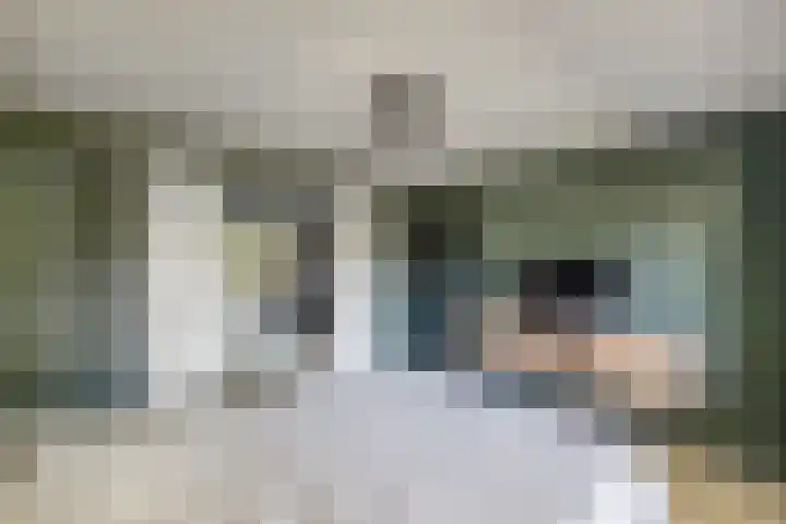 Richel 2 Emmeloord thumbnail 21