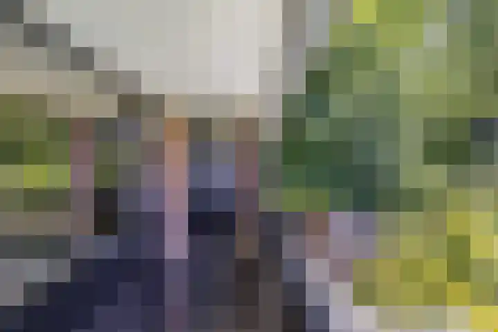 Richel 2 Emmeloord thumbnail 23