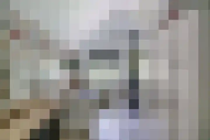 Richel 2 Emmeloord thumbnail 24