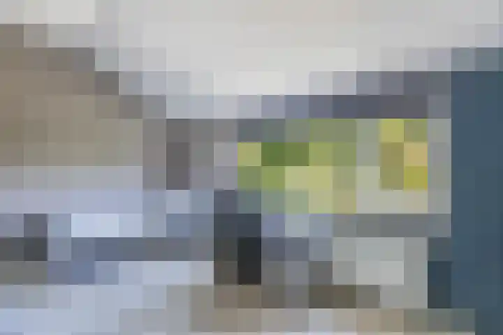 Richel 2 Emmeloord thumbnail 26