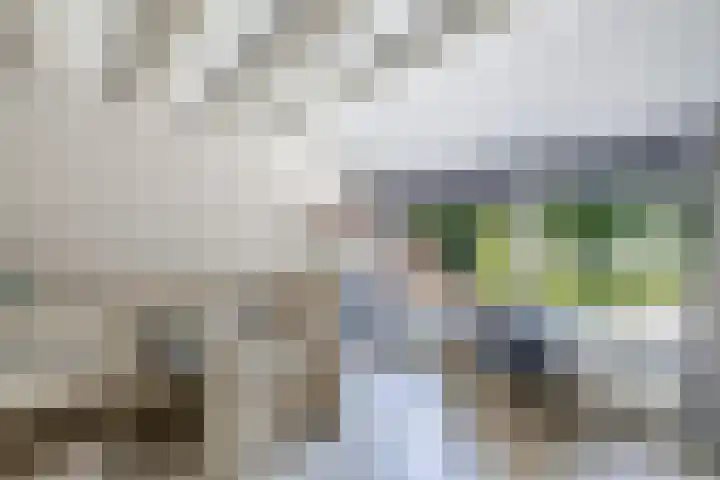 Richel 2 Emmeloord thumbnail 28