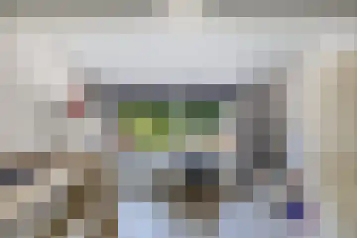 Richel 2 Emmeloord thumbnail 29