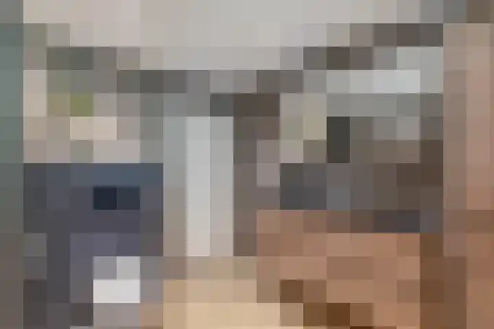 Richel 2 Emmeloord thumbnail 32
