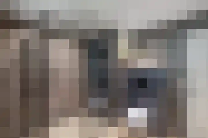 Richel 2 Emmeloord thumbnail 33