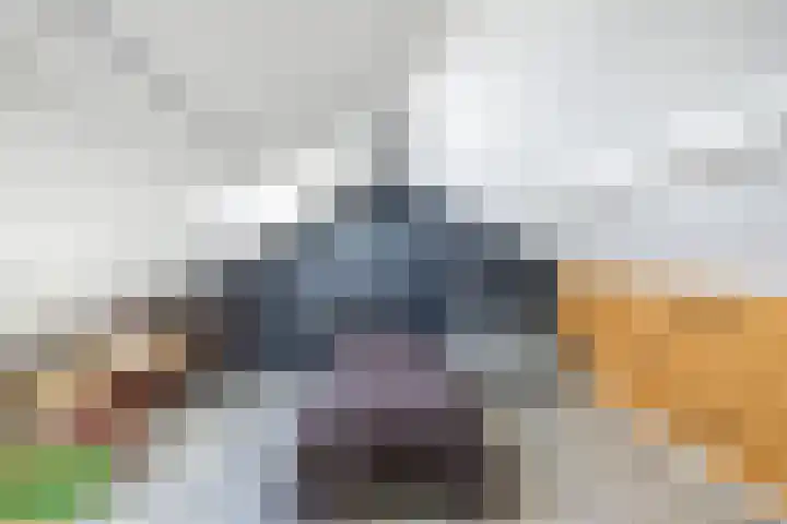 Richel 2 Emmeloord thumbnail 36