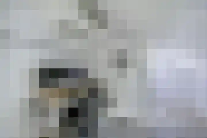Richel 2 Emmeloord thumbnail 37