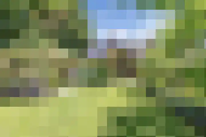 Richel 2 Emmeloord thumbnail 38