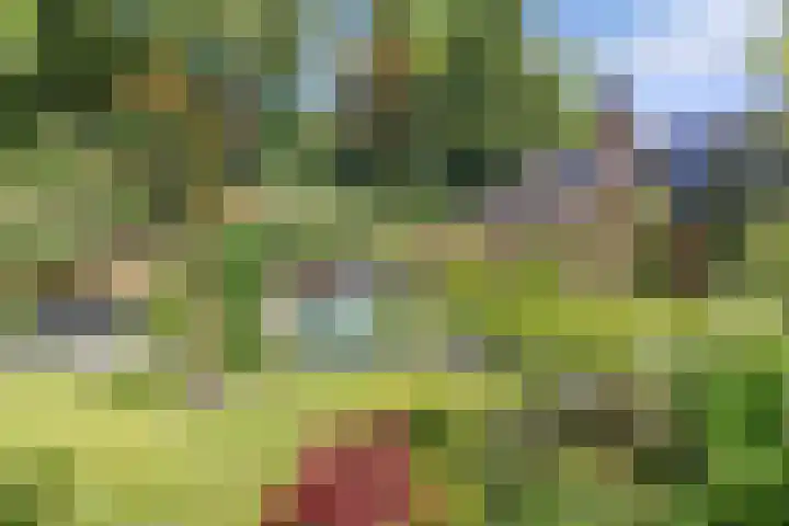 Richel 2 Emmeloord thumbnail 39