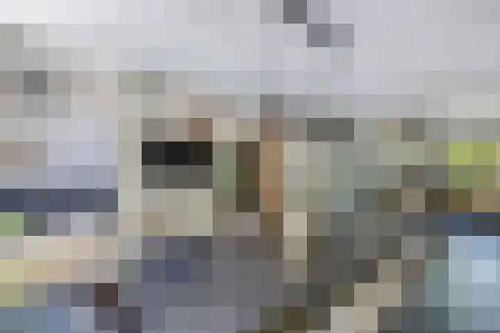 Richel 2 Emmeloord thumbnail 4
