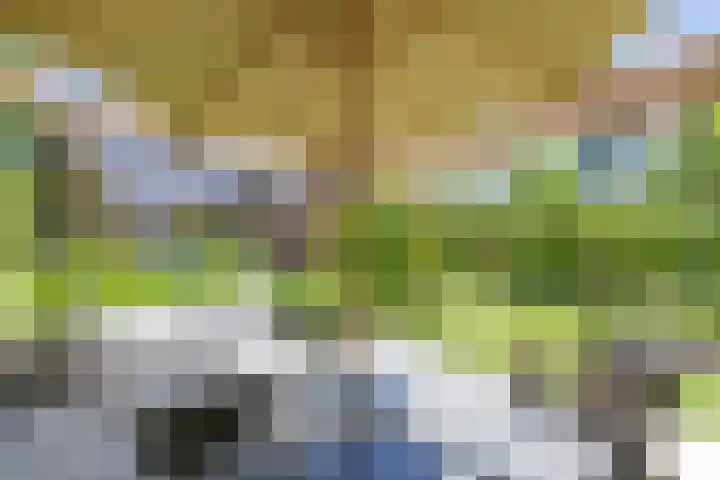 Richel 2 Emmeloord thumbnail 40
