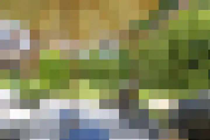 Richel 2 Emmeloord thumbnail 41