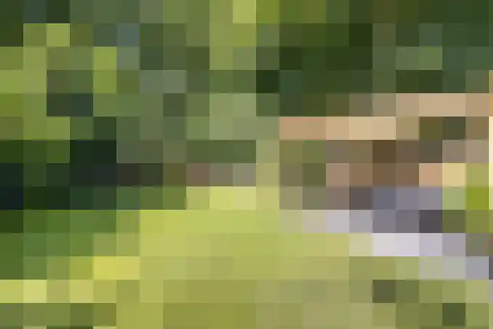 Richel 2 Emmeloord thumbnail 42