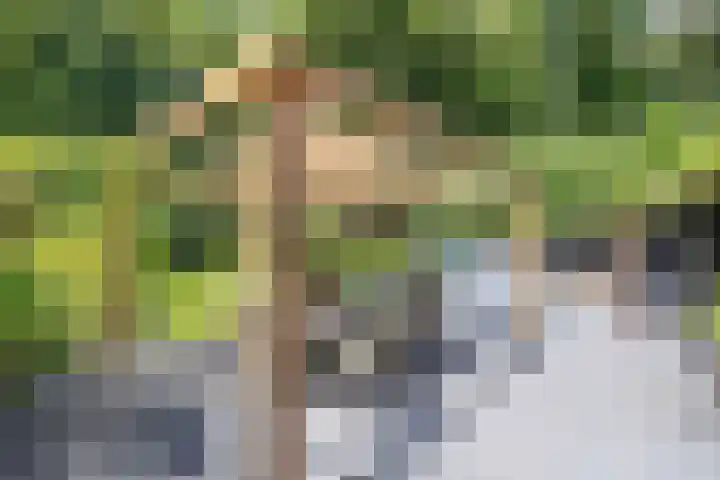 Richel 2 Emmeloord thumbnail 43