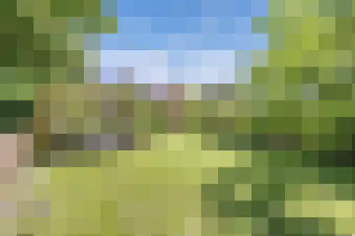 Richel 2 Emmeloord thumbnail 44