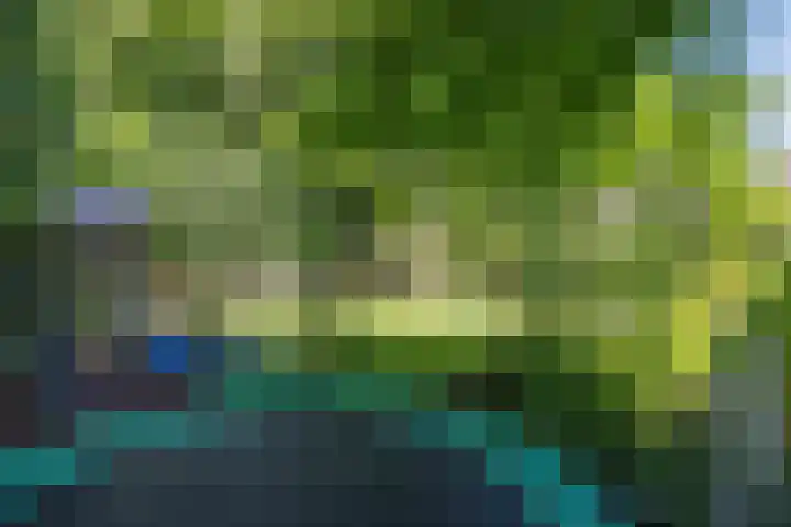 Richel 2 Emmeloord thumbnail 45