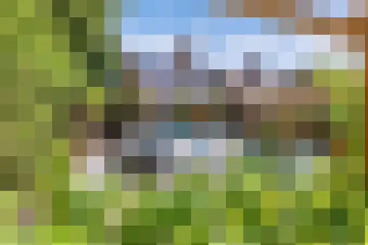 Richel 2 Emmeloord thumbnail 46