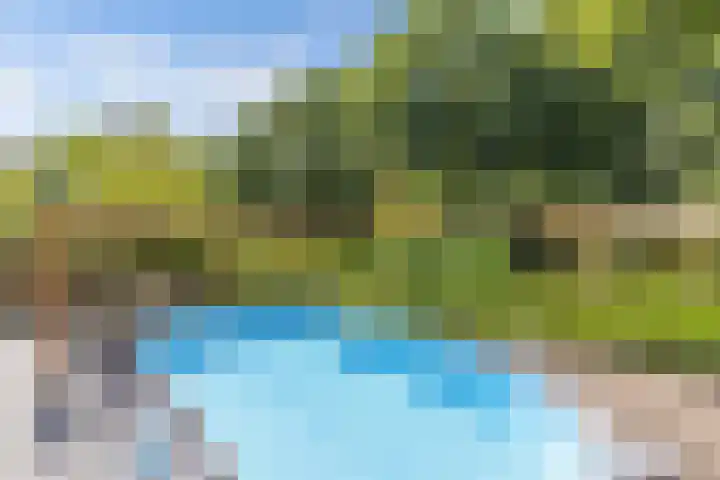 Richel 2 Emmeloord thumbnail 49