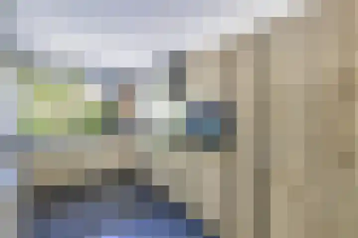 Richel 2 Emmeloord thumbnail 5