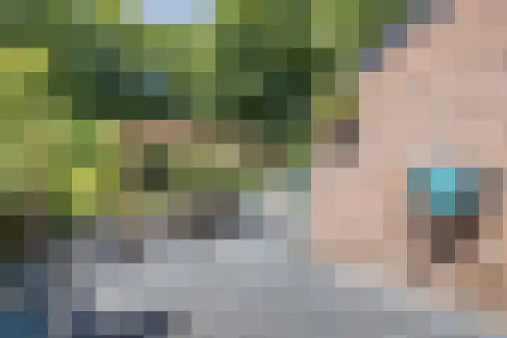 Richel 2 Emmeloord thumbnail 51