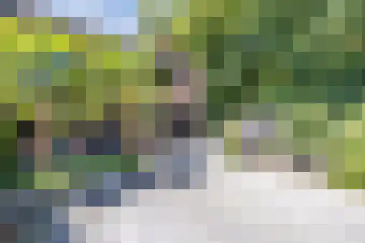 Richel 2 Emmeloord thumbnail 52