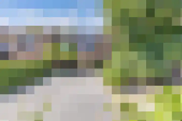 Richel 2 Emmeloord thumbnail 54