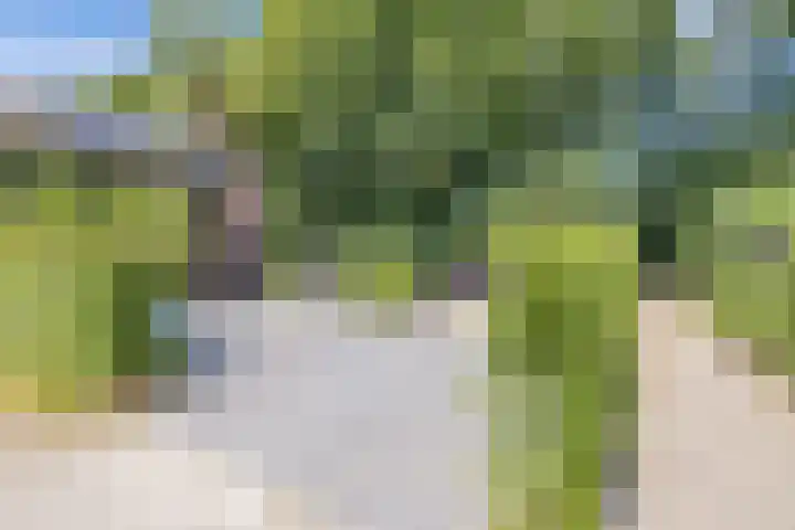 Richel 2 Emmeloord thumbnail 55