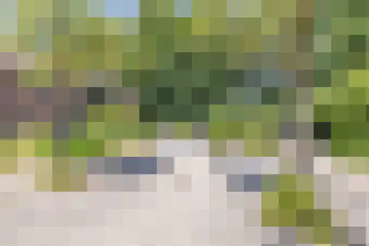 Richel 2 Emmeloord thumbnail 56