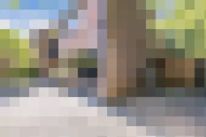 Richel 2 Emmeloord thumbnail 57