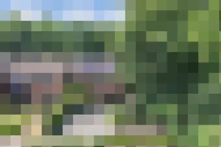 Richel 2 Emmeloord thumbnail 58