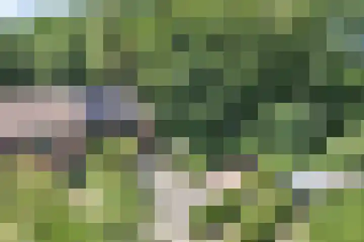 Richel 2 Emmeloord thumbnail 59