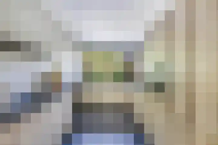 Richel 2 Emmeloord thumbnail 6