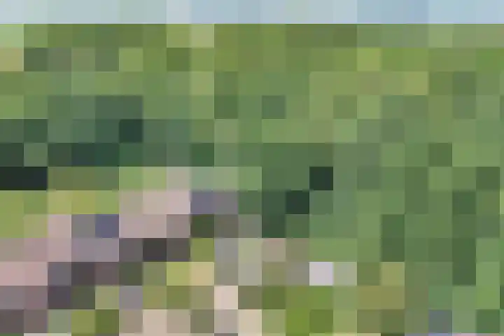 Richel 2 Emmeloord thumbnail 60